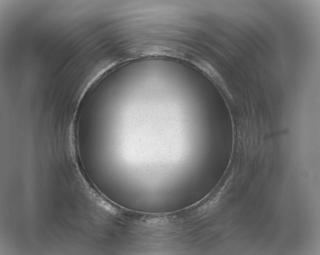 X0000054450798200508121909