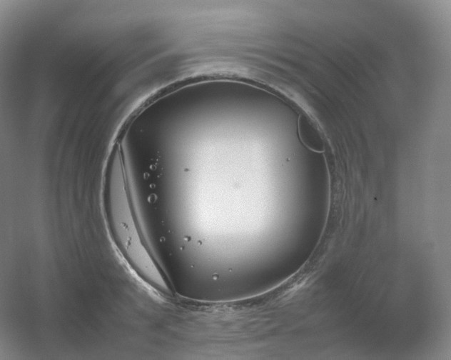 X0000054450799200508121909