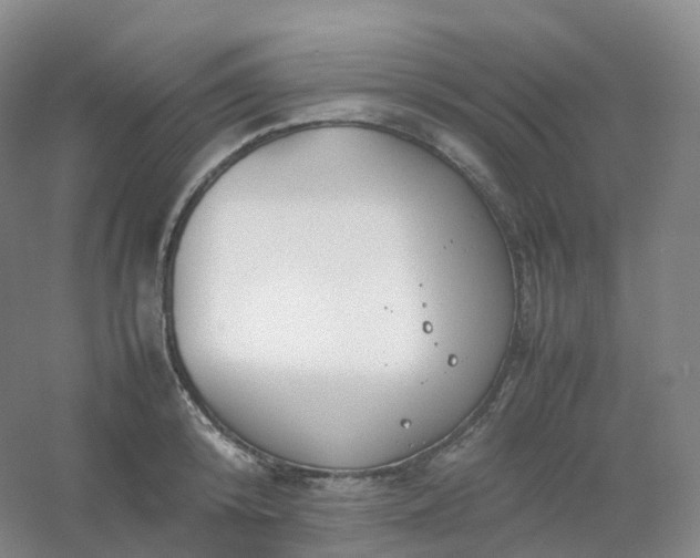 X0000054450800200508121909
