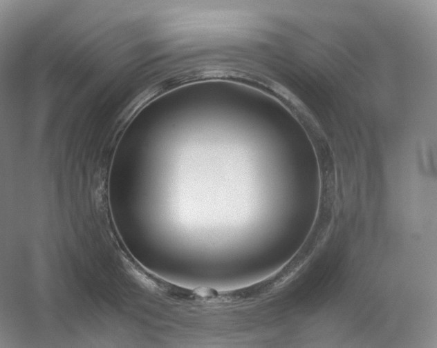 X0000054450801200508121909