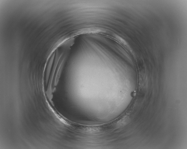 X0000054450802200508121909