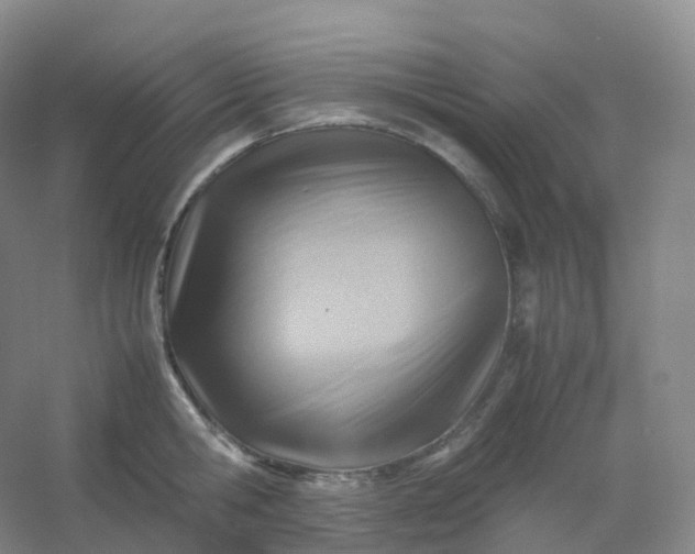 X0000054450806200508121909