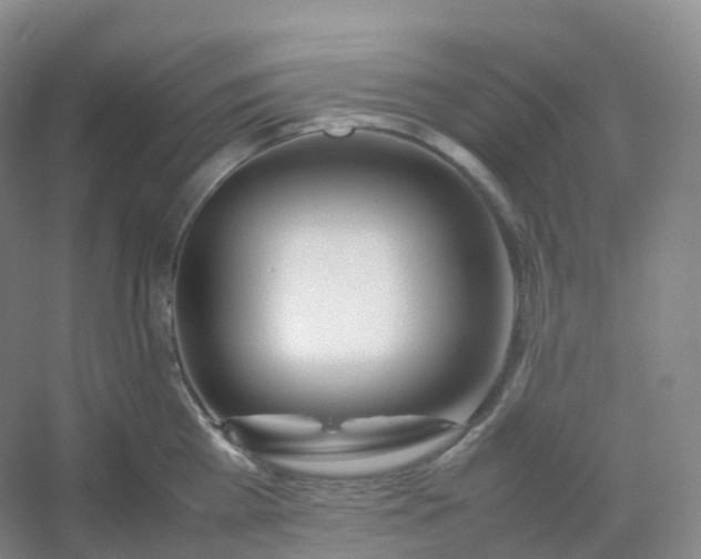 X0000054450809200508121909