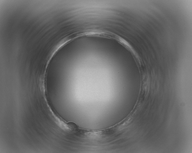 X0000054450810200508121909