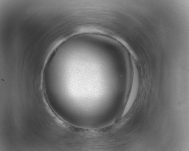 X0000054450815200508121909