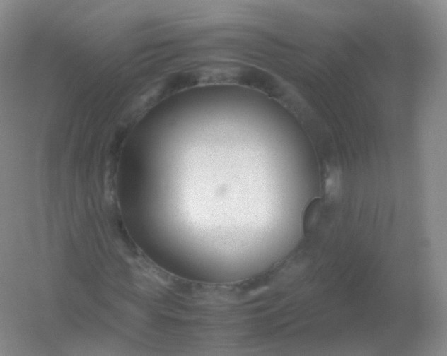 X0000054450819200508121908