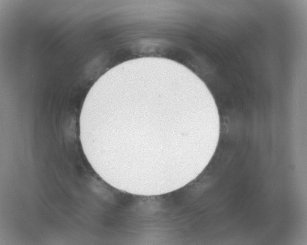 X0000054450820200508121908
