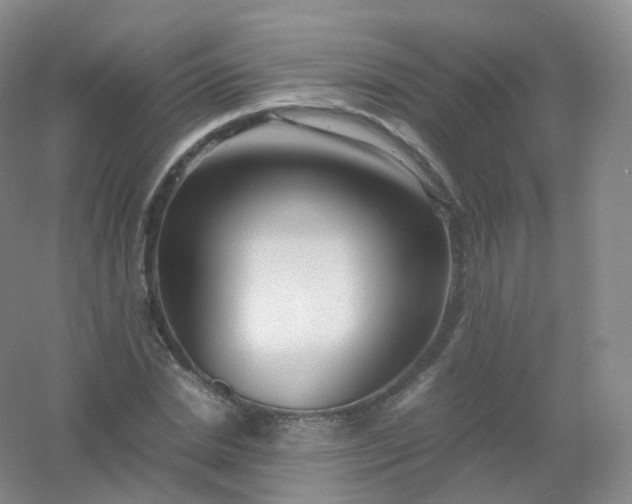 X0000054450830200508121908