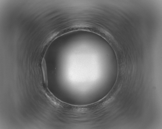 X0000054450833200508121908