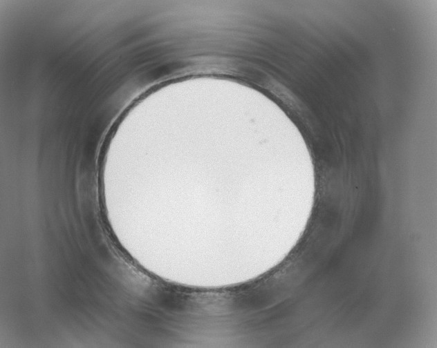 X0000054450836200508121909