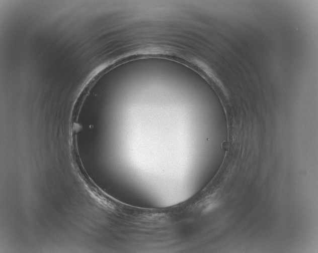 X0000054450837200508121909