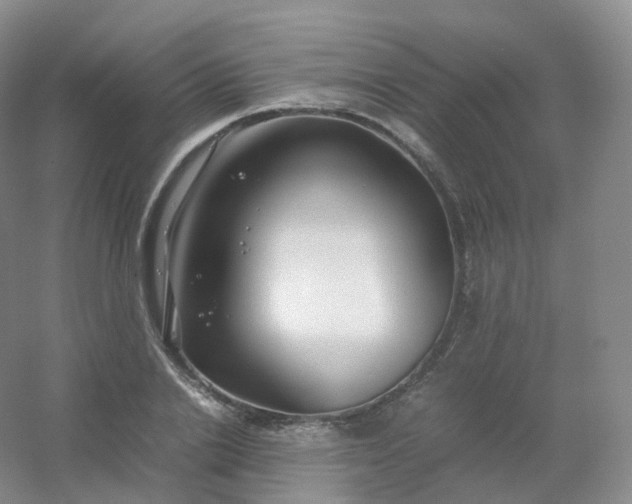 X0000054450838200508121909