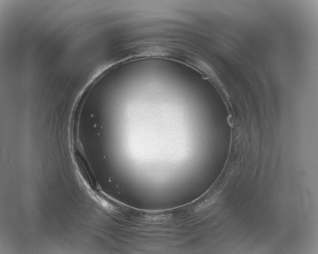 X0000054450843200508121909