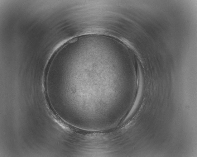 X0000054450846200508121909
