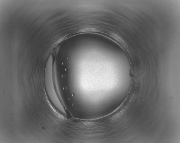 X0000054450849200508121909