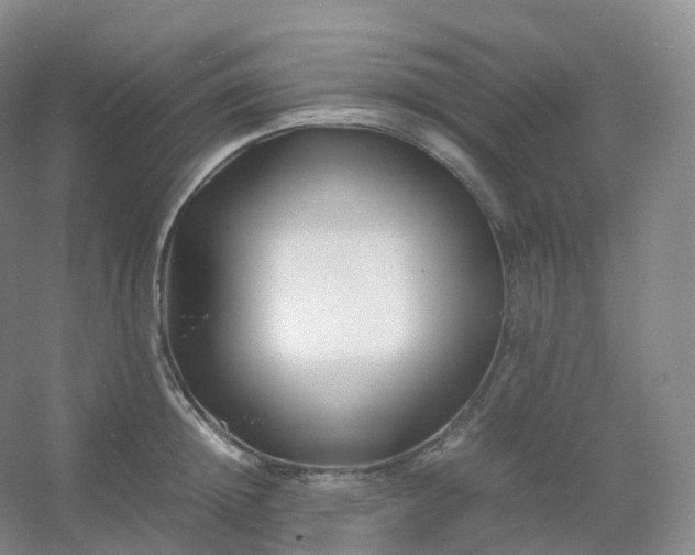 X0000054450852200508121909