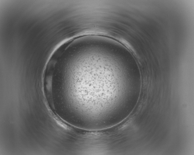 X0000054450854200508121909