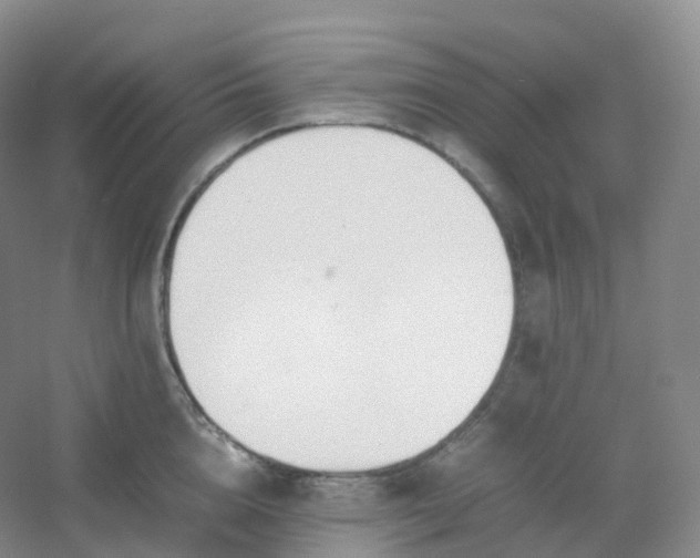 X0000054450856200508121909