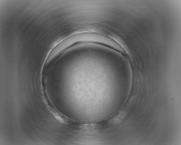 X0000054450858200508121909