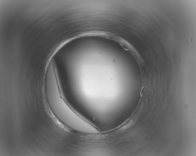 X0000054450860200508121909