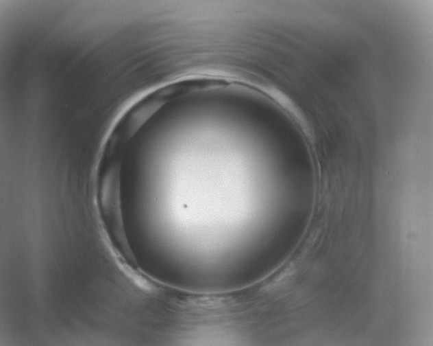 X0000054450862200508121909