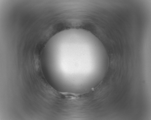 X0000054450866200508121908
