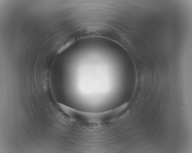 X0000054450868200508121908