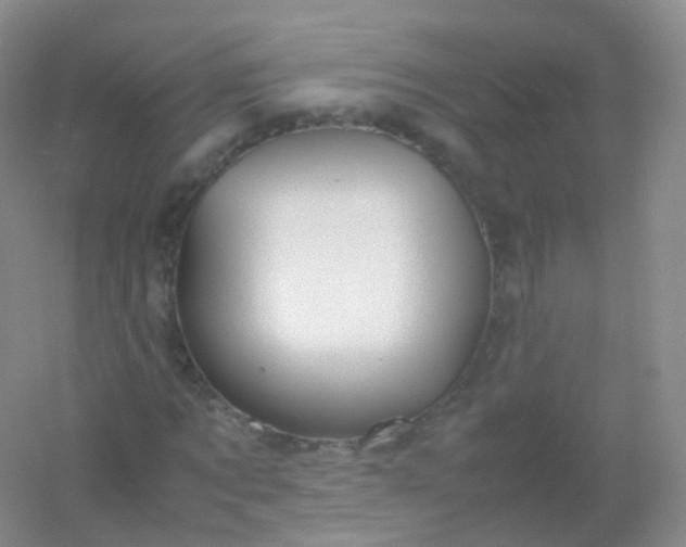 X0000054450869200508121908