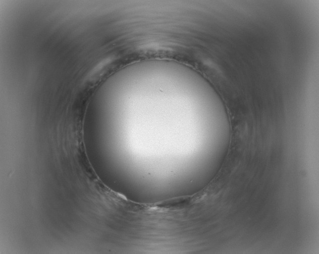 X0000054450870200508121908