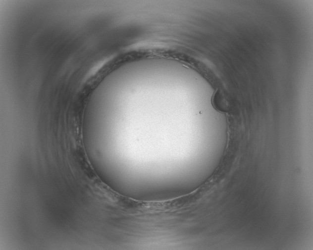 X0000054450871200508121908