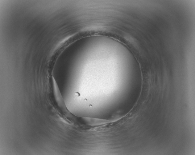 X0000054450872200508121908