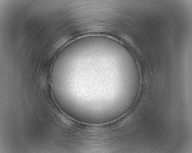 X0000054450873200508121908