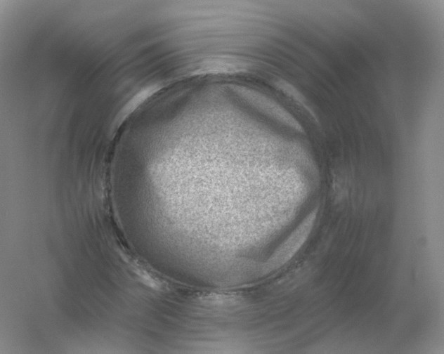 X0000054450874200508121908
