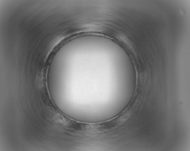 X0000054450875200508121908
