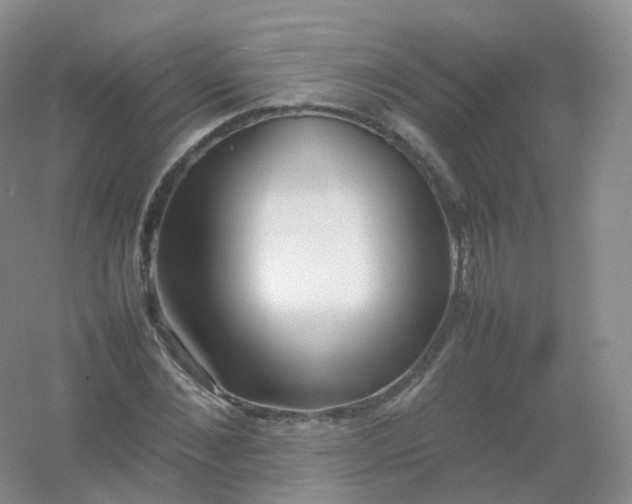 X0000054450876200508121908