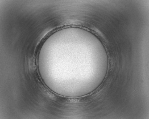 X0000054450878200508121908