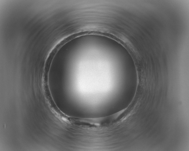 X0000054450880200508121908