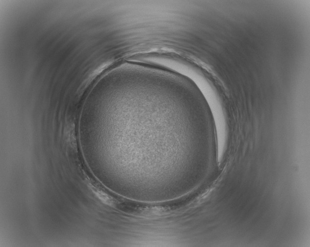 X0000054450881200508121908