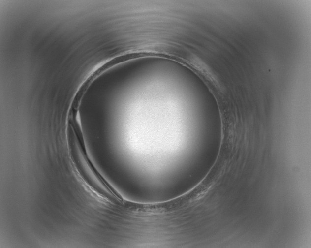 X0000054450884200508121908