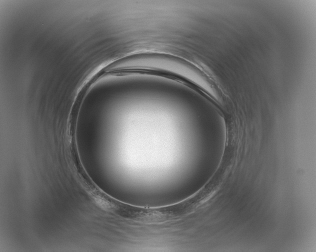 X0000054450885200508121908