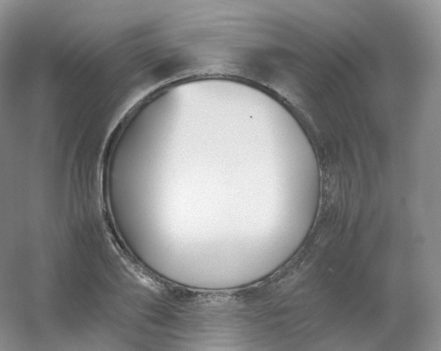 X0000054450886200508121908