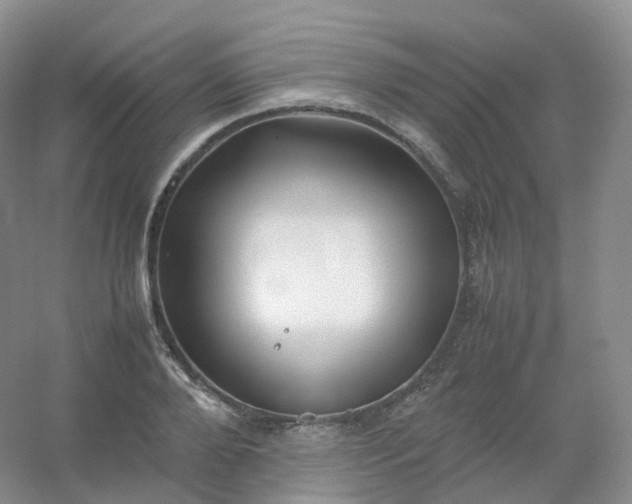 X0000054450888200508121908