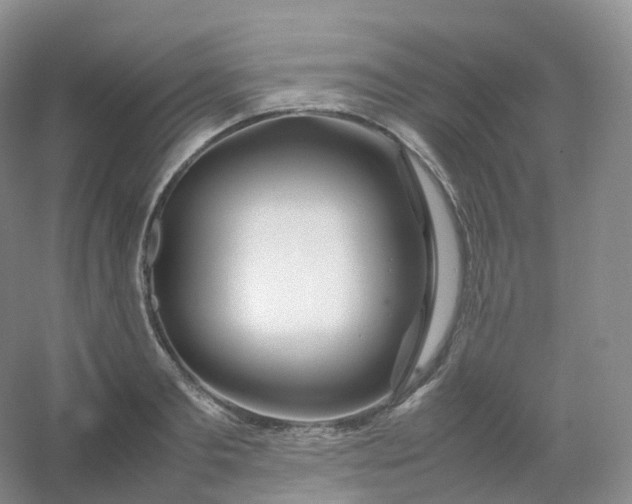 X0000054450893200508121908