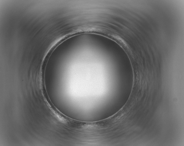 X0000054450894200508121908