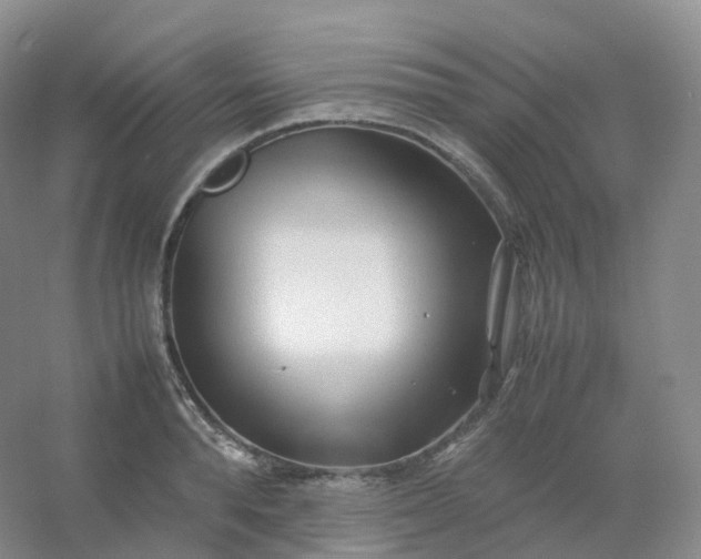 X0000054450896200508121908