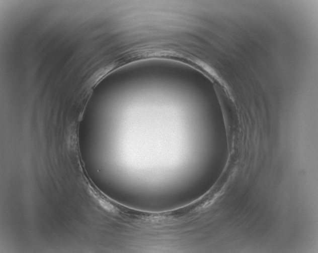 X0000054450897200508121908