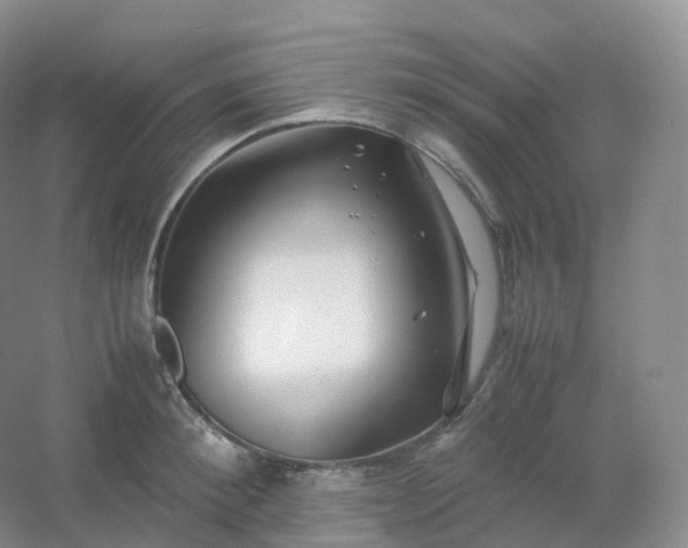 X0000054450900200508121908