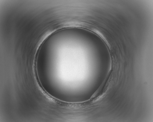 X0000054450901200508121908