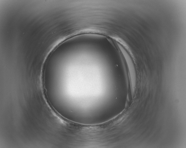 X0000054450902200508121908