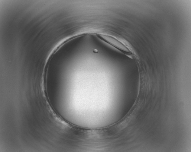 X0000054450904200508121908